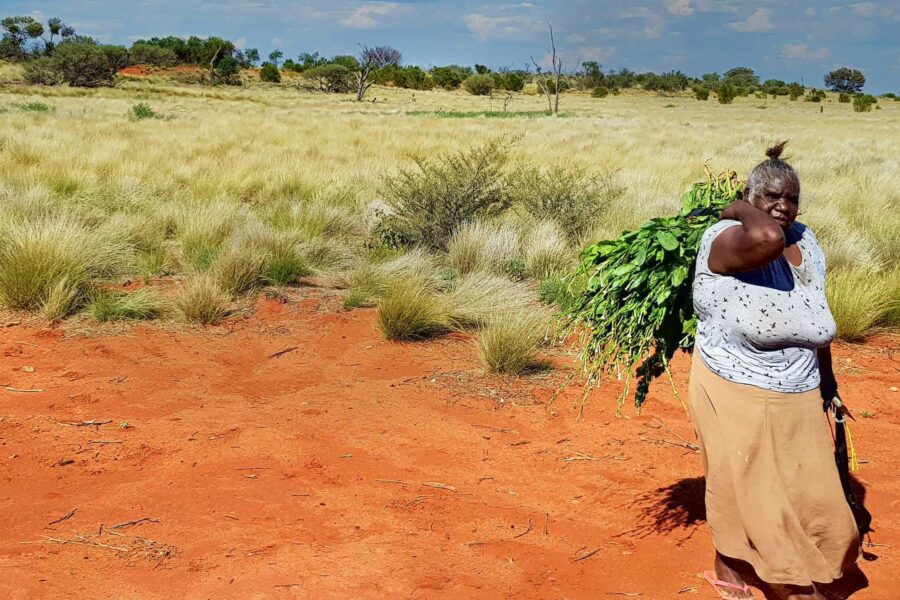 Aboriginal Community Services